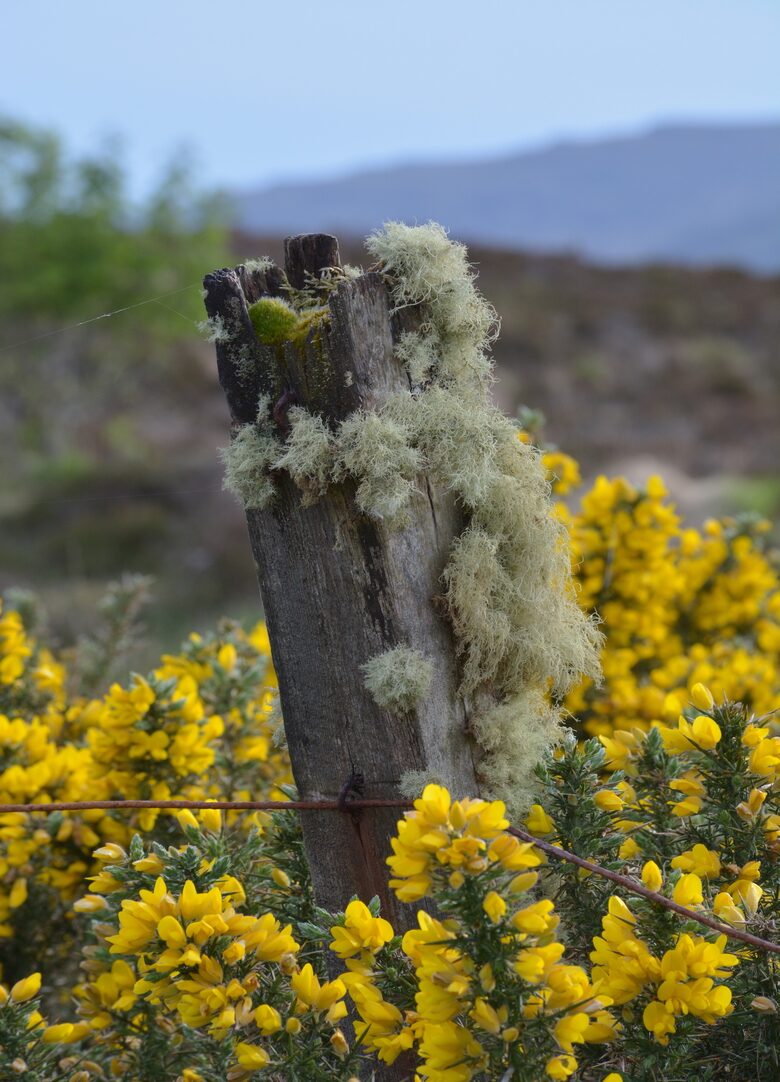 Isle of Skye Cottage In the Scottish Highlands - Nr Dunvegan, United Kingdom