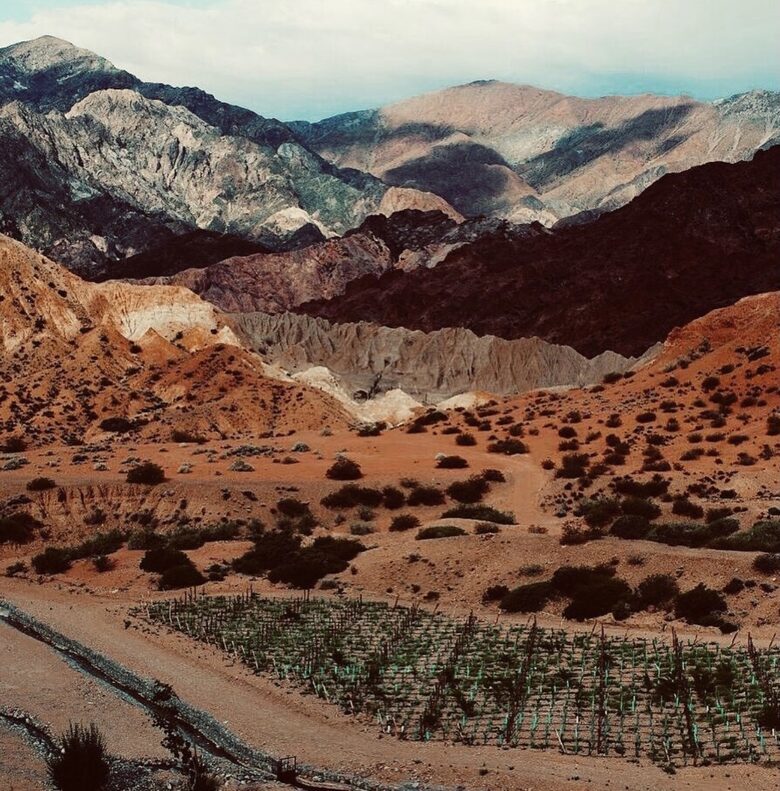Mountain Luxury Ranch with private vineyards - Uspallata, Argentina