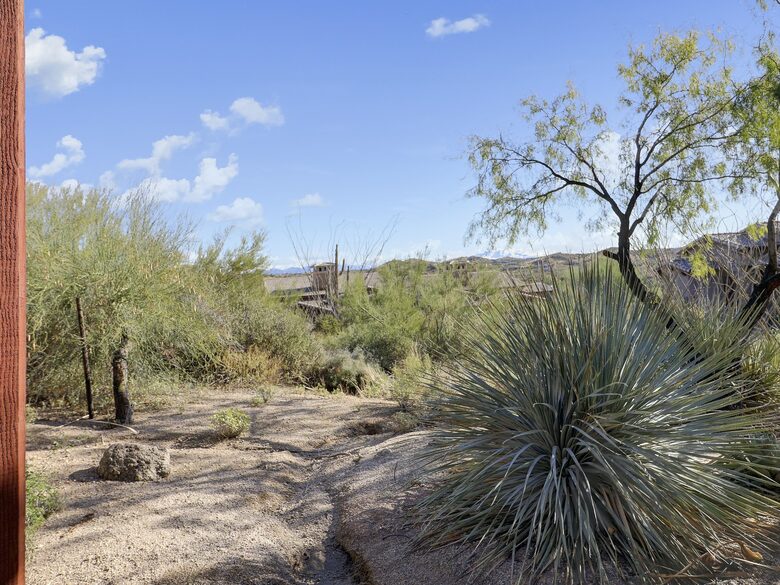 Home exchange in Scottsdale AZ, desert landscape views