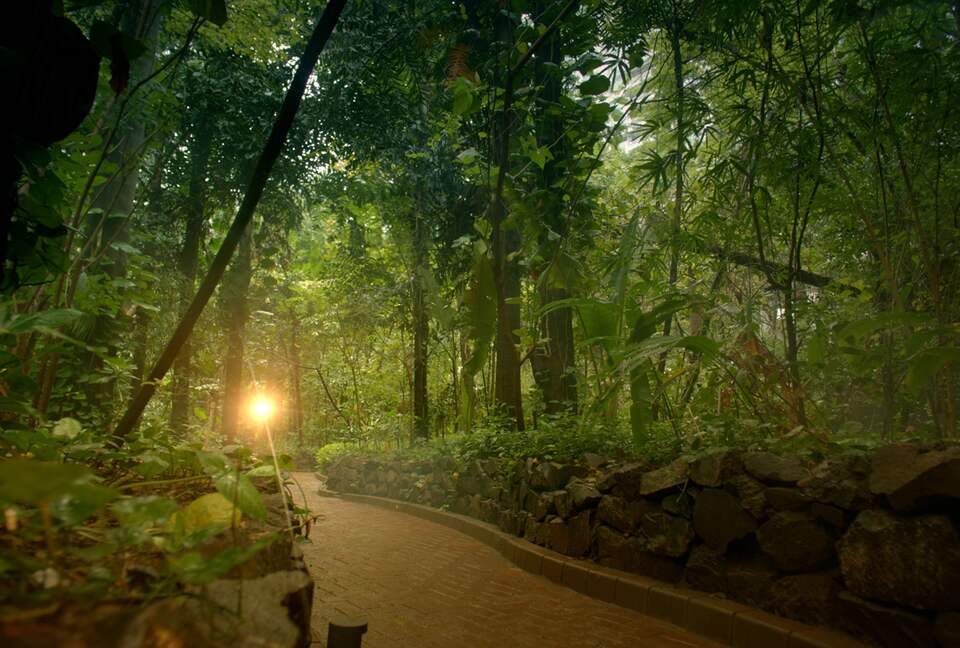 Exclusive Apartment at Yoo Pune - Pune, India