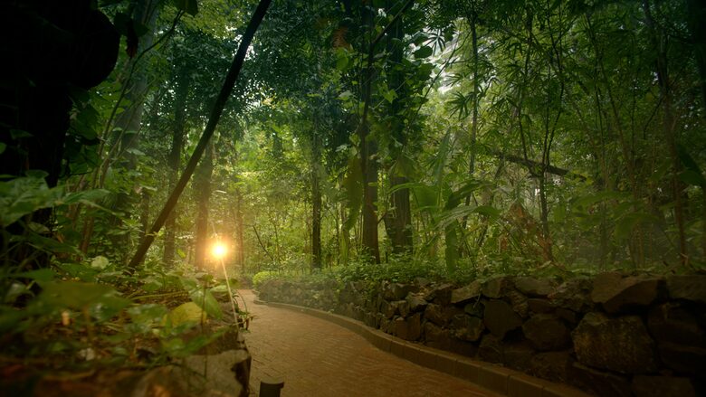 Exclusive Apartment at Yoo Pune - Pune, India