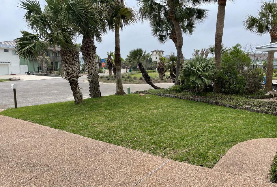 Blue Heron by the Sea - Rockport, Texas