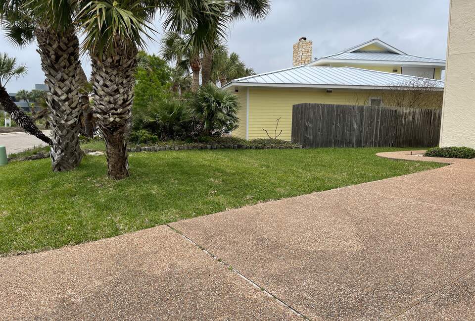 Blue Heron by the Sea - Rockport, Texas