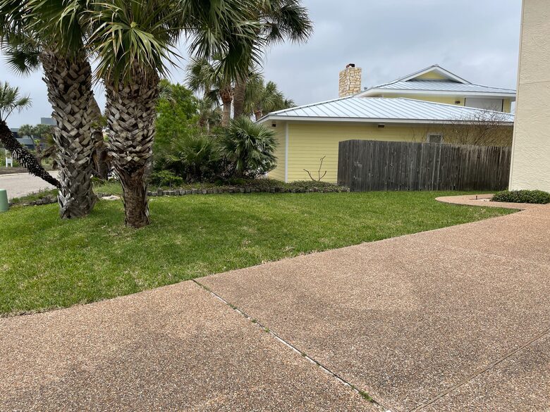 Blue Heron by the Sea - Rockport, Texas