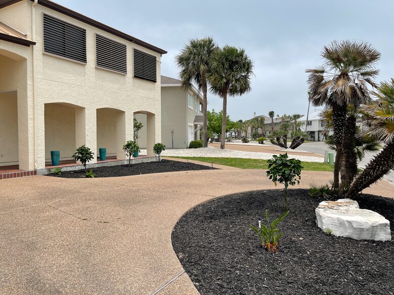 Blue Heron by the Sea - Rockport, Texas