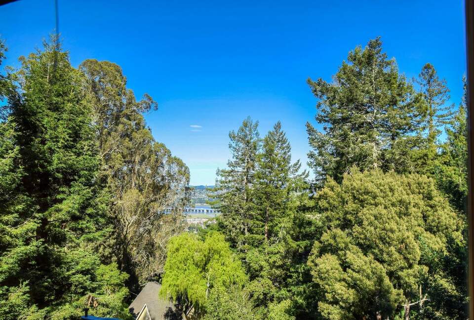 Muir Woods Retreat—minutes from Golden Gate Bridge - Mill Valley, California