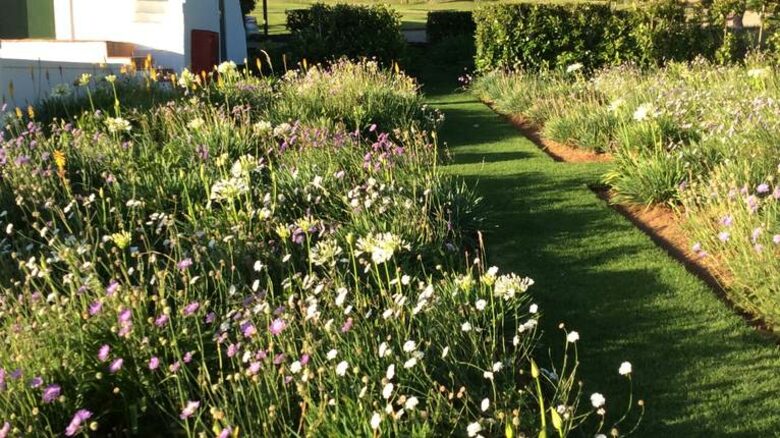 The Manor House - Nuy Valley, South Africa