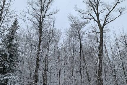 Home exchange in Jay Peak VT, snow covered forest views