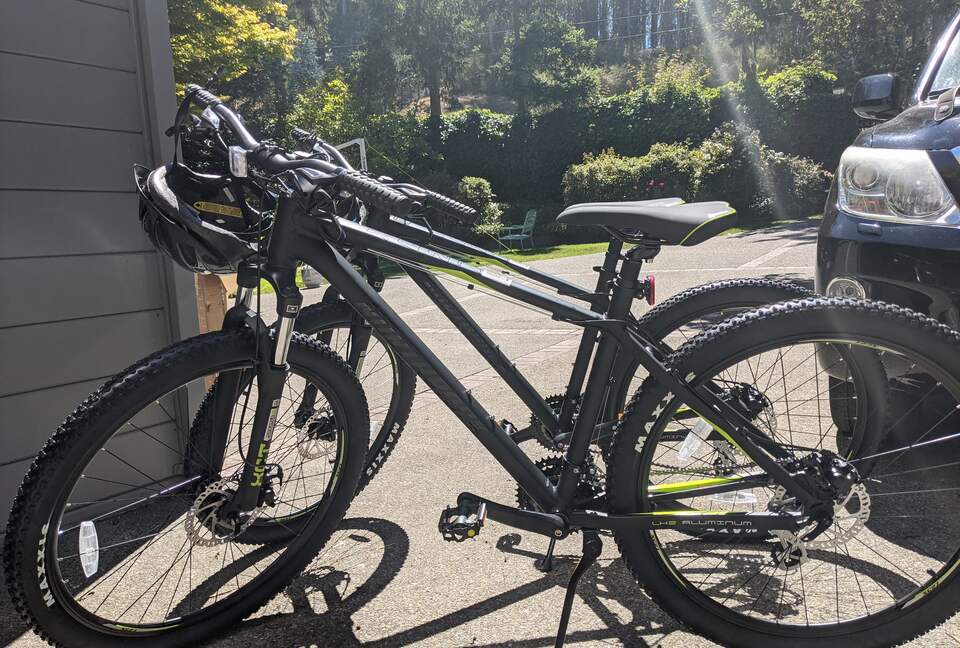 Muir Woods Retreat—minutes from Golden Gate Bridge - Mill Valley, California