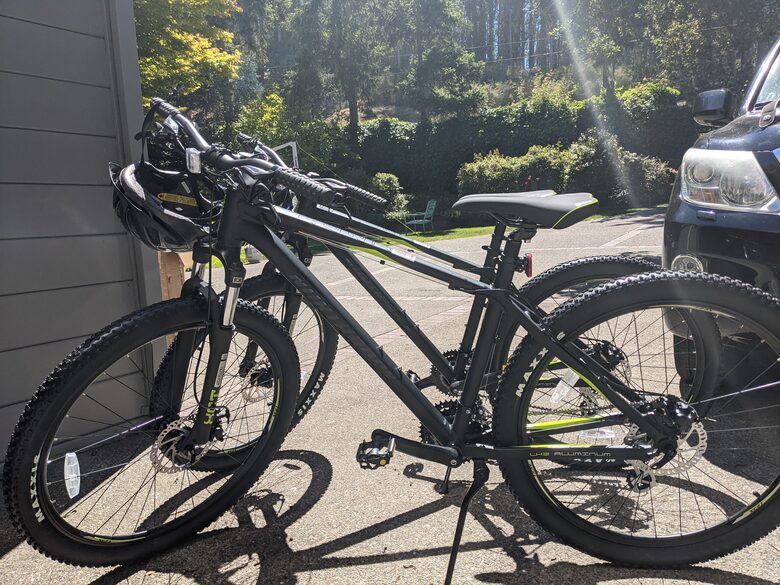 Muir Woods Retreat—minutes from Golden Gate Bridge - Mill Valley, California