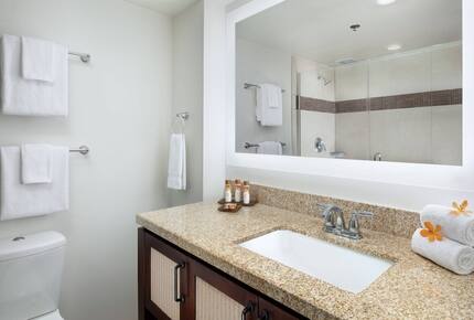 1 BR Studio Unit at Marriott Kauai Beach Club - Lihue - Kauai, Hawaii