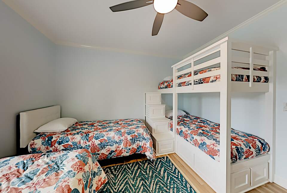 Star Gazer - Georgetown, South Carolina