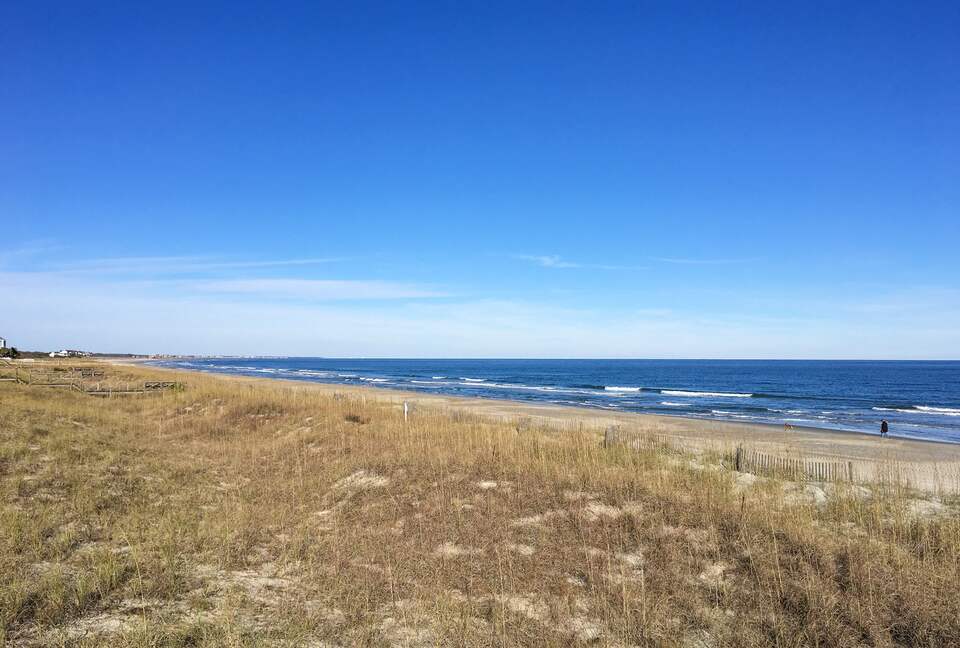 Star Gazer - Georgetown, South Carolina