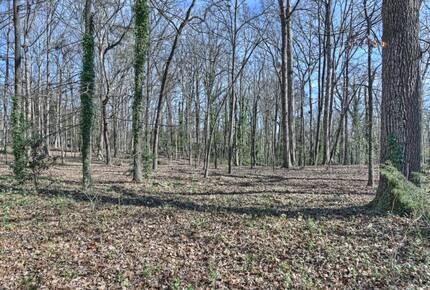 Charlotte Château - Charlotte, North Carolina