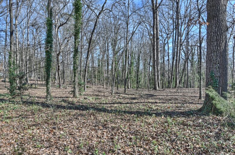 Charlotte Château - Charlotte, North Carolina