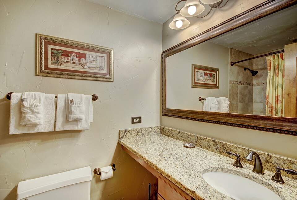 Village at Breckenridge - Ski-In/Ski-Out Peak 9 - Breckenridge, Colorado