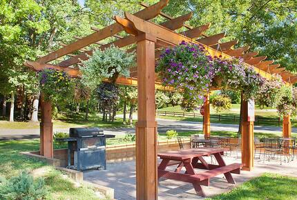 Home exchange at Christmas Mountain Village, park grill station