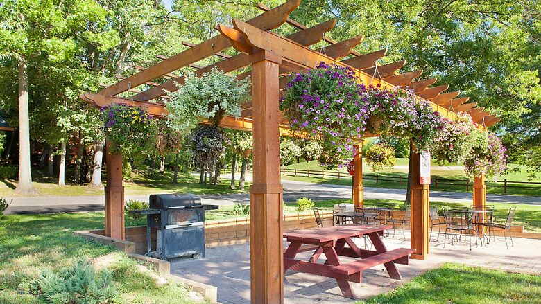 Home exchange at Christmas Mountain Village, park grill station