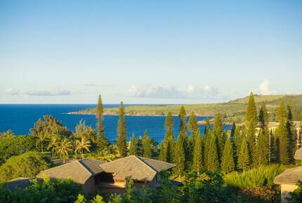 View from upper level lanai