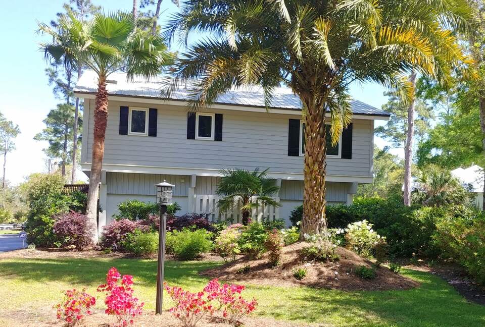 Bird Watchers Paradise - Hilton Head, South Carolina