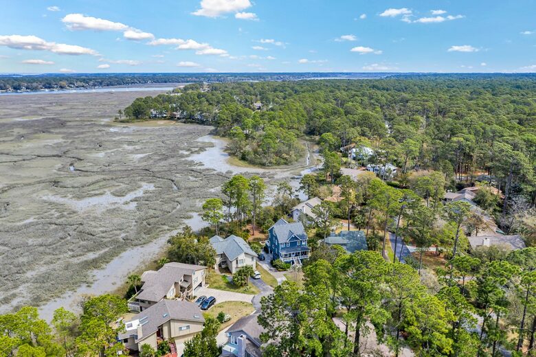 Bird Watchers Paradise - Hilton Head, South Carolina