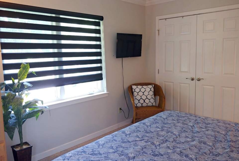 Bird Watchers Paradise - Hilton Head, South Carolina