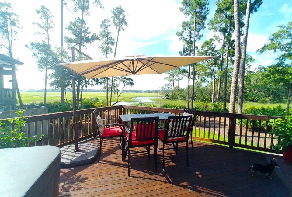 Bird Watchers Paradise - Hilton Head, South Carolina