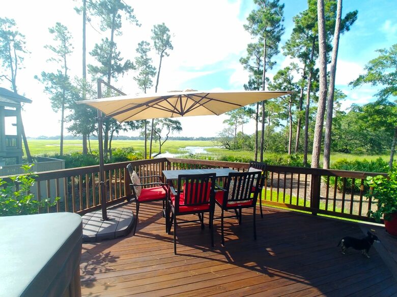 Bird Watchers Paradise - Hilton Head, South Carolina