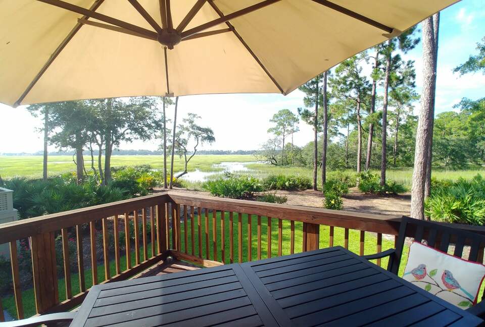 Bird Watchers Paradise - Hilton Head, South Carolina