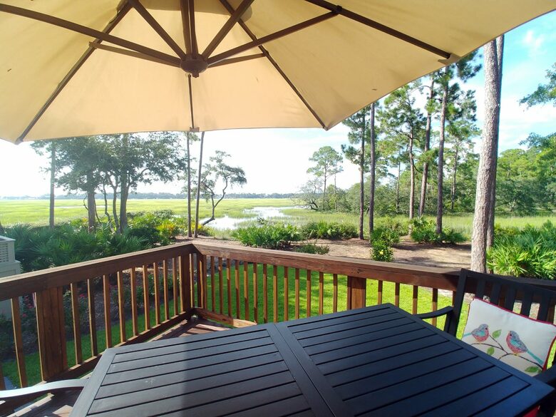 Bird Watchers Paradise - Hilton Head, South Carolina