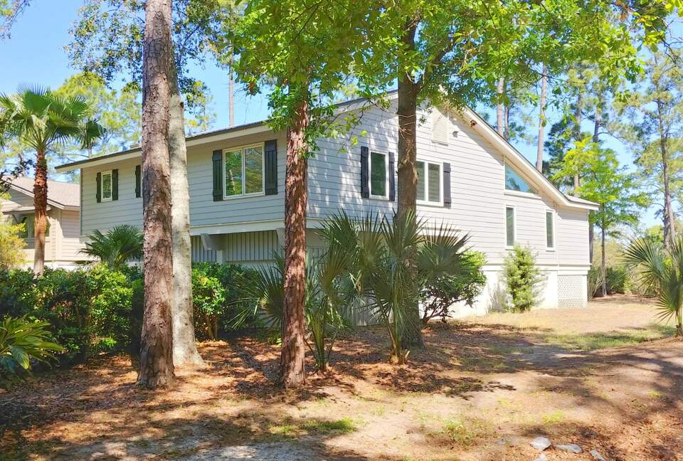 Bird Watchers Paradise - Hilton Head, South Carolina