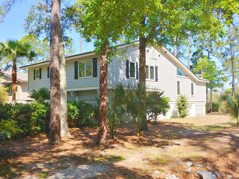 Bird Watchers Paradise - Hilton Head, South Carolina