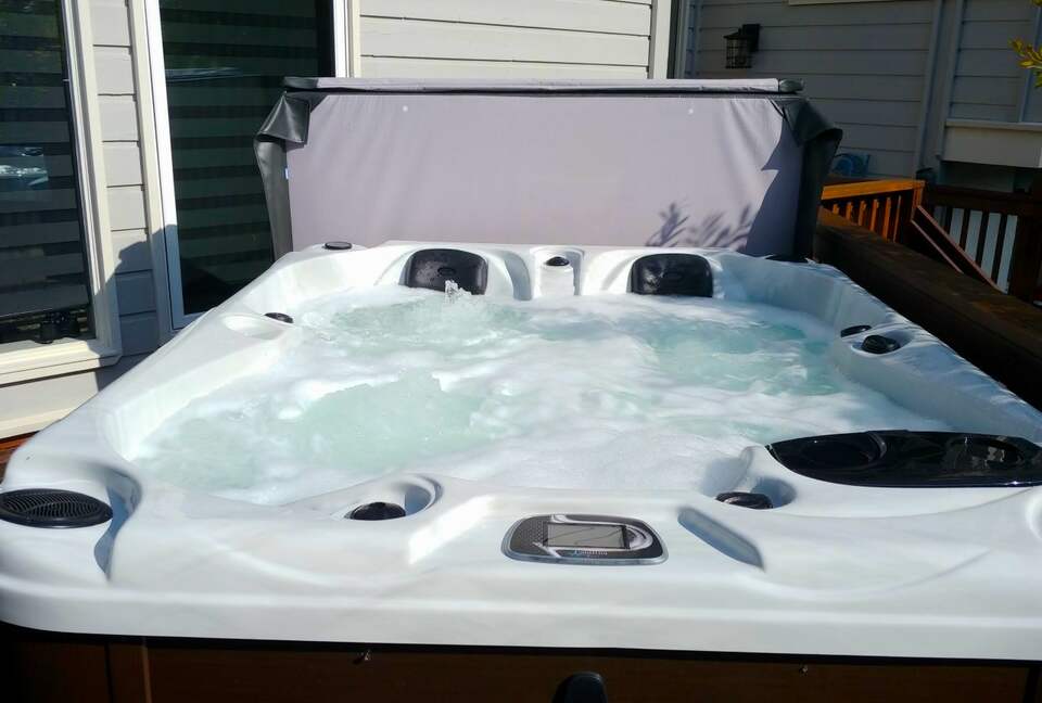 Bird Watchers Paradise - Hilton Head, South Carolina