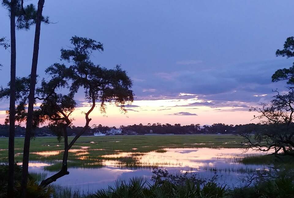 Bird Watchers Paradise - Hilton Head, South Carolina
