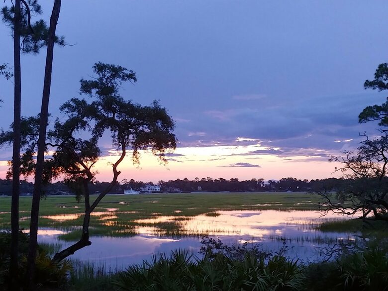 Bird Watchers Paradise - Hilton Head, South Carolina