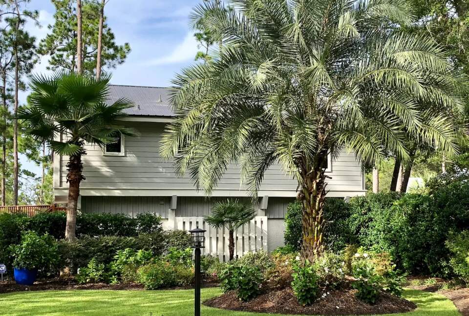 Bird Watchers Paradise - Hilton Head, South Carolina