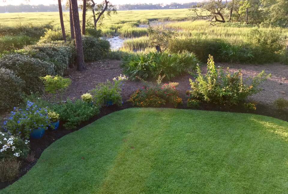 Bird Watchers Paradise - Hilton Head, South Carolina