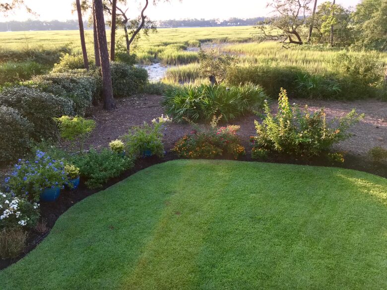 Bird Watchers Paradise - Hilton Head, South Carolina