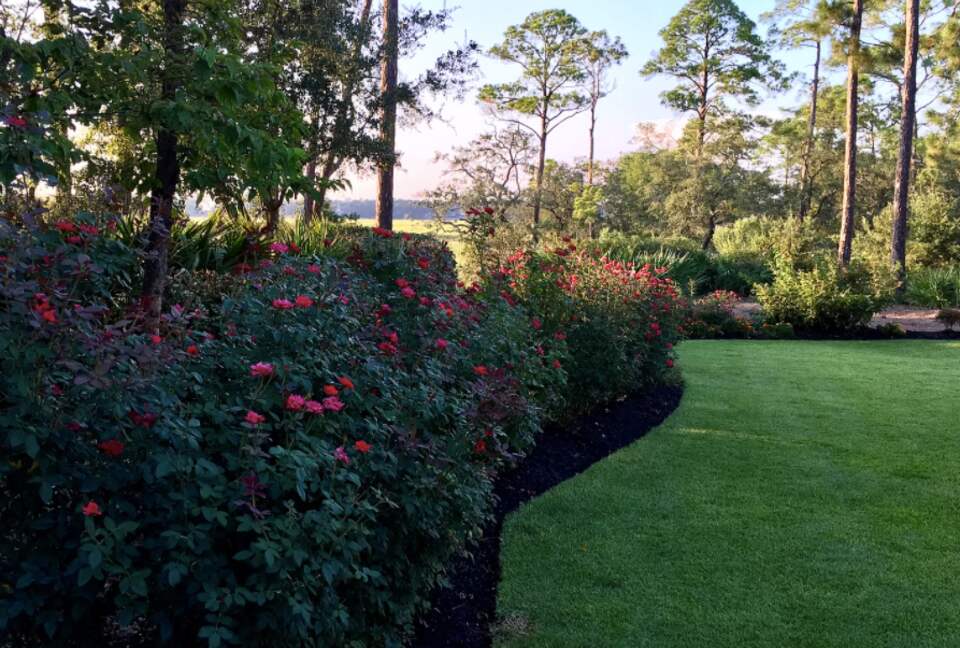 Bird Watchers Paradise - Hilton Head, South Carolina