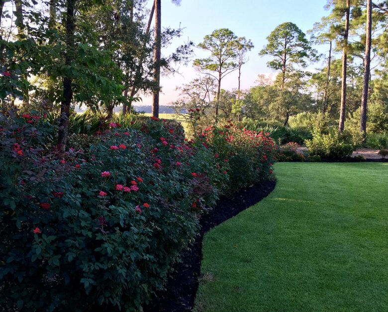 Bird Watchers Paradise - Hilton Head, South Carolina