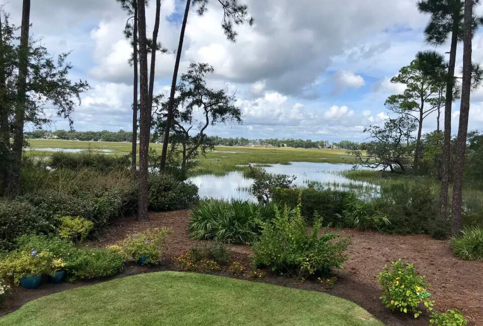 Bird Watchers Paradise - Hilton Head, South Carolina