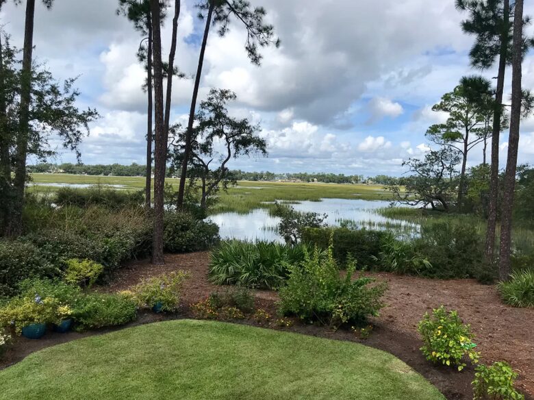 Bird Watchers Paradise - Hilton Head, South Carolina