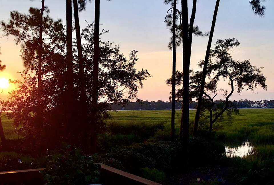 Bird Watchers Paradise - Hilton Head, South Carolina