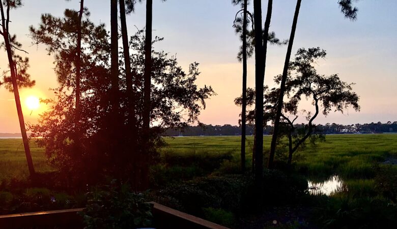 Bird Watchers Paradise - Hilton Head, South Carolina