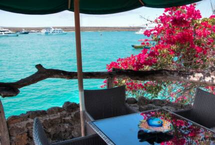 Galapagos Villa - Galapagos - Pto. Ayora, Ecuador