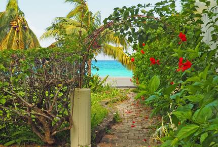 Pathway to the beach.