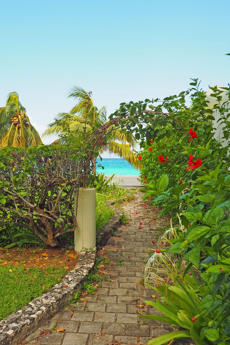Pathway to the beach.