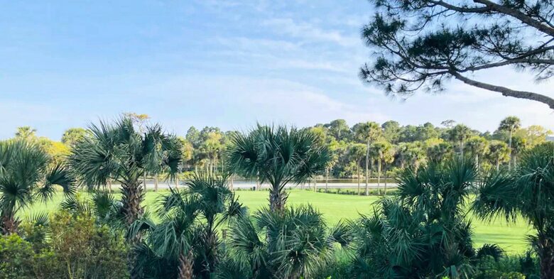 Sweetgrass - Kiawah Island, South Carolina