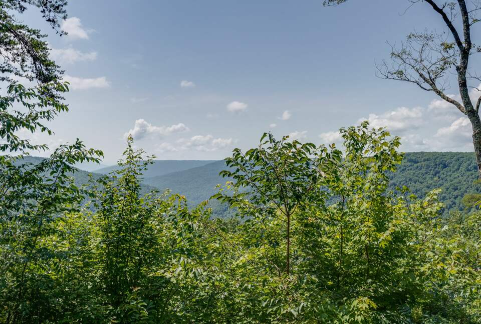 Stunning 'Mountain View' from Sun-up to Sundown - Monteagle, Tennessee