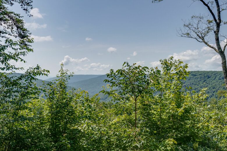 Stunning 'Mountain View' from Sun-up to Sundown - Monteagle, Tennessee